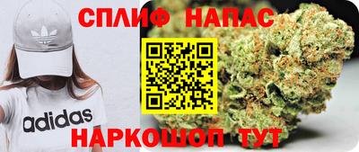 гидра Ярославль
