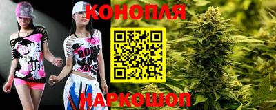 прущие грибы Анапа