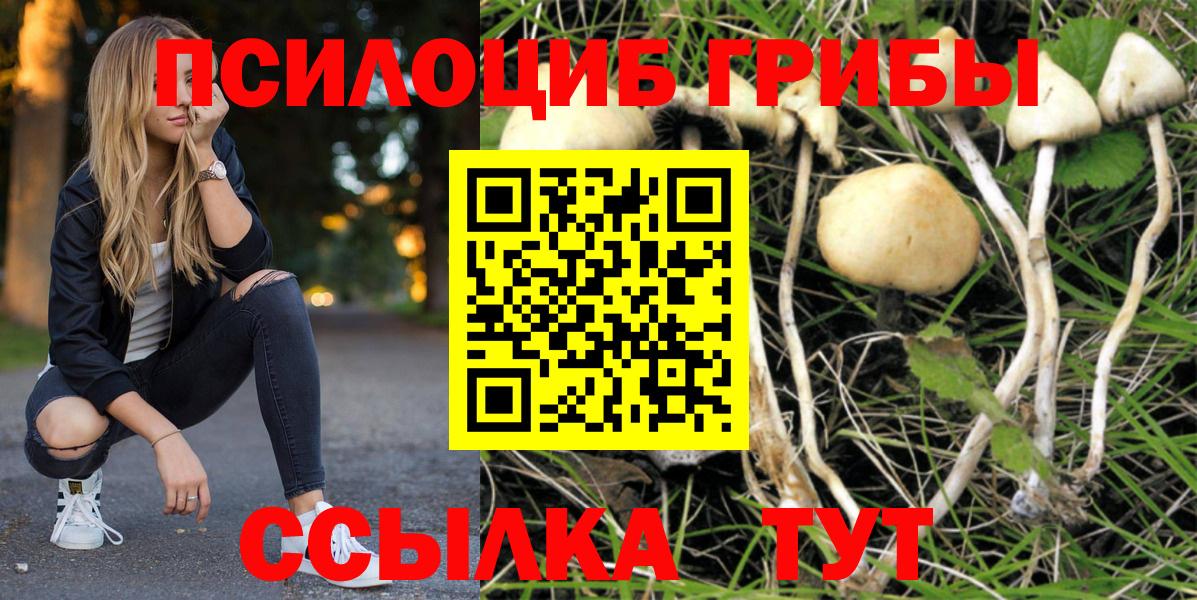 хочу наркоту  Вход с VPN  Ревда  Псилоцибиновые грибы Psilocybine cubensis  Псилоцибиновые грибы мухоморы 