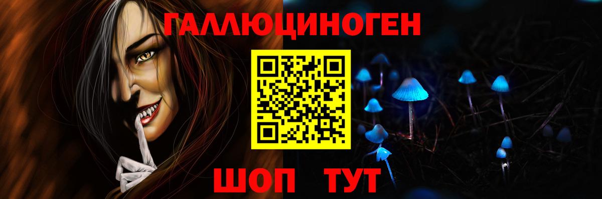 Псилоцибиновые грибы Psilocybe Ревда